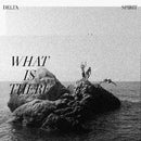 Delta Spirit - What Is There [LP - Clear/Black]