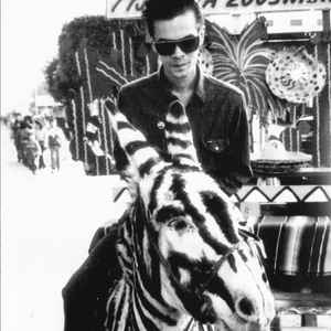 Dan Sartain - Dan Sartain Vs. The Serpientes [LP]
