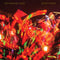 Trey Anastasio Band - Burn It Down [3xLP - Plasma Orange]