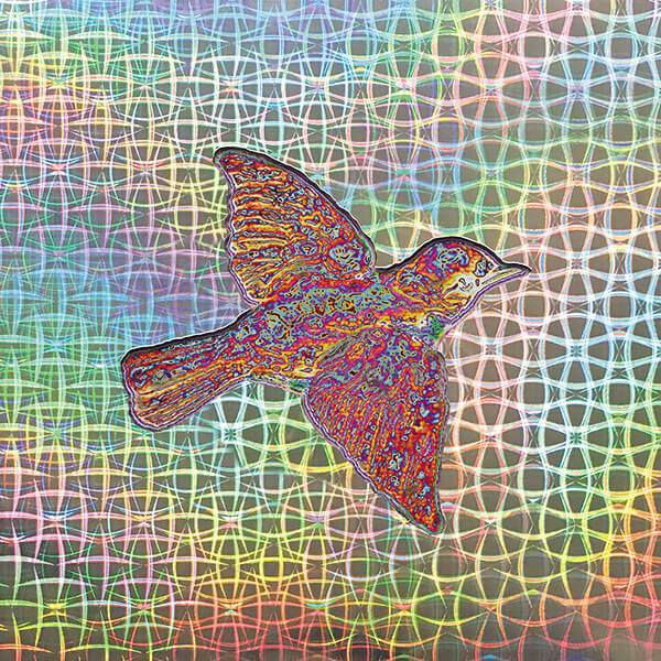 Widespread Panic - Til The Medicine Takes [2xLP]