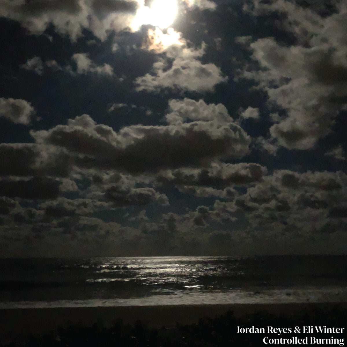 Jordan Reyes & Eli Winter - Controlled Burning [LP]
