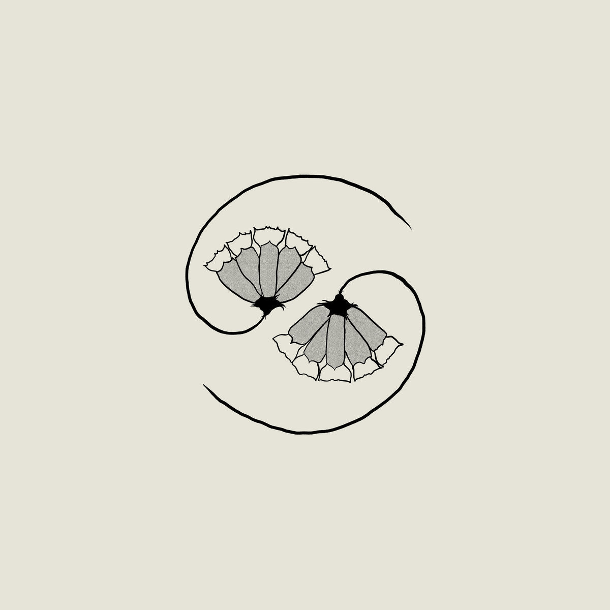 Godspeed You! Black Emperor - G_d's Pee AT STATE'S END! [LP + 10"]