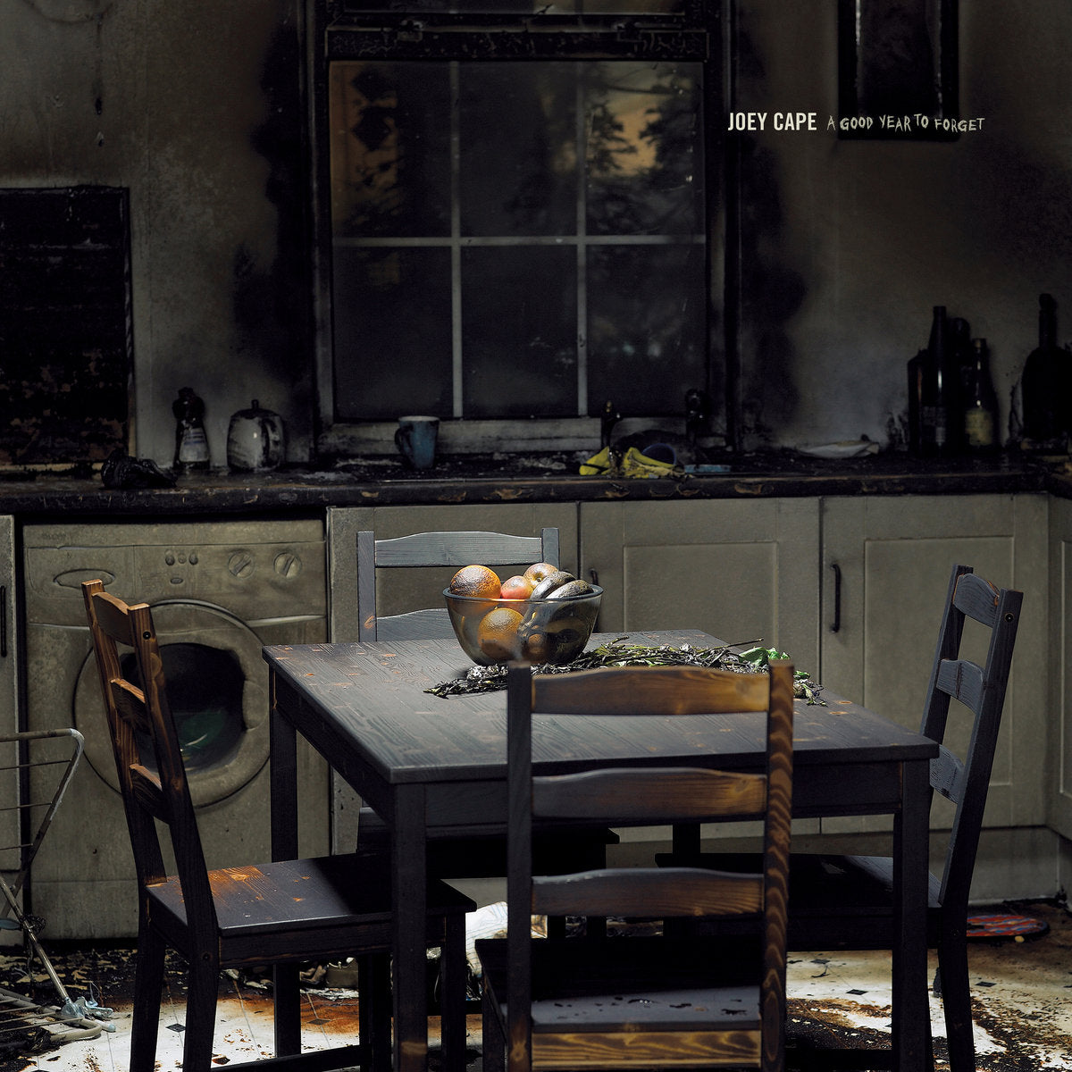 Joey Cape - A Good Year To Forget [LP]
