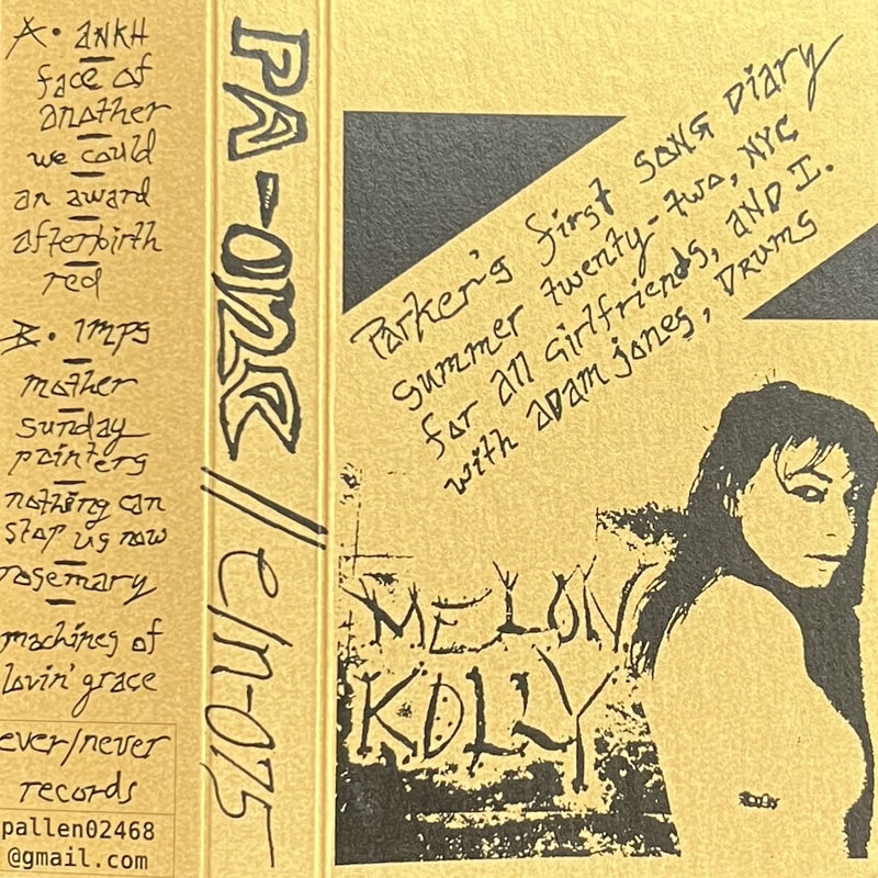 Parker Allen - Parker's First Song Diary [Cassette]