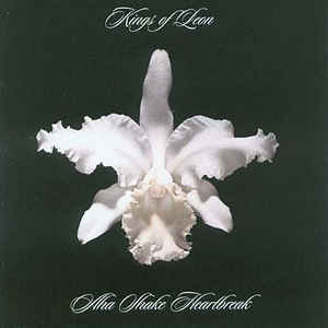 Kings Of Leon - Aha Shake Heartbreak [2xLP]