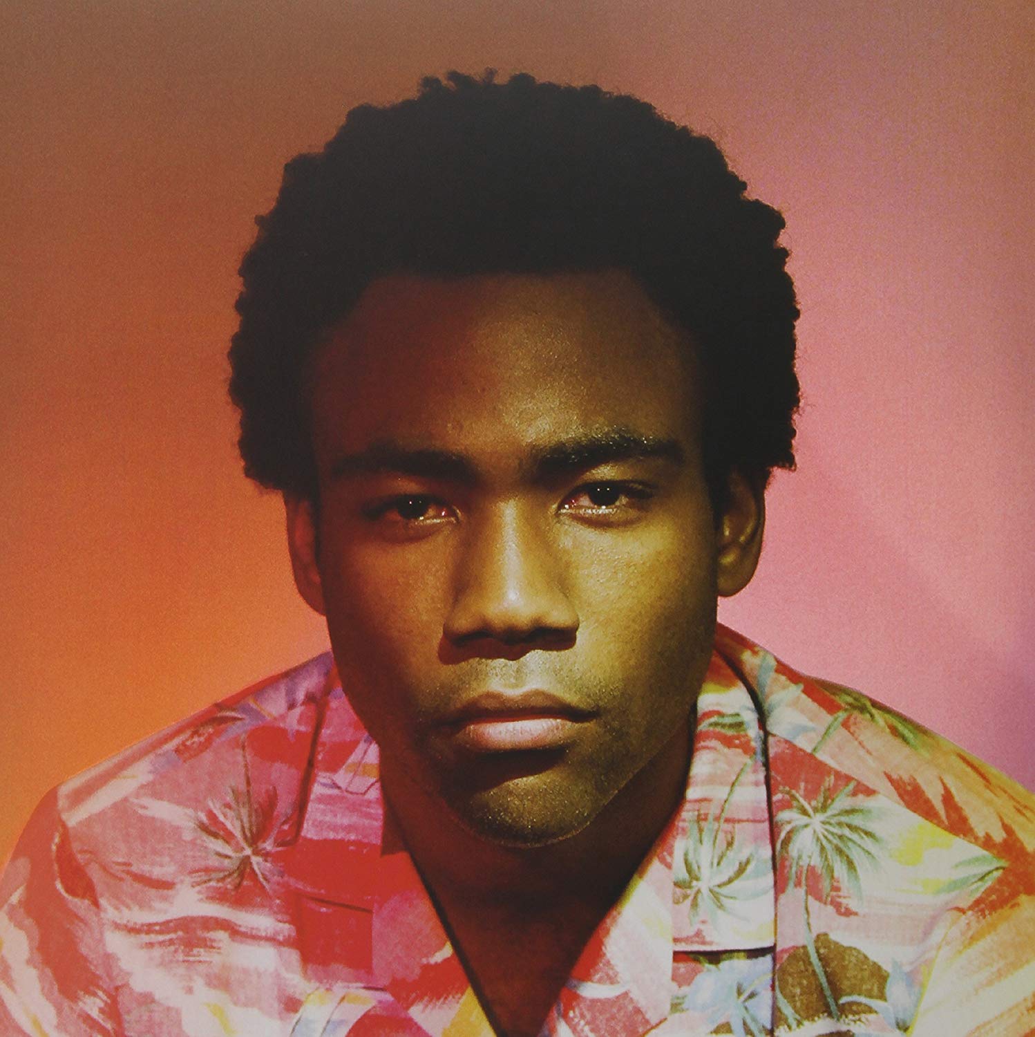 Childish Gambino - Because The Internet [2xLP]