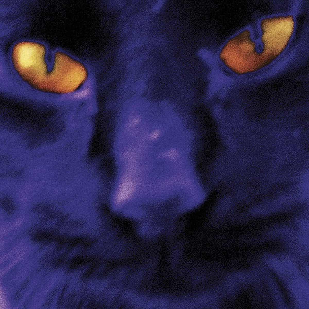 David Kilgour And The Heavy Eights - Bobbie's A Girl [LP - Cat's Eye Swirl]