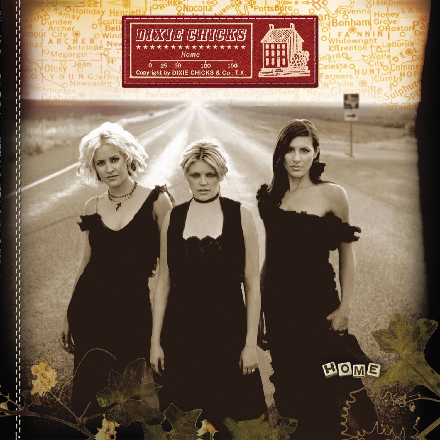 Chicks, The - Home [2xLP]