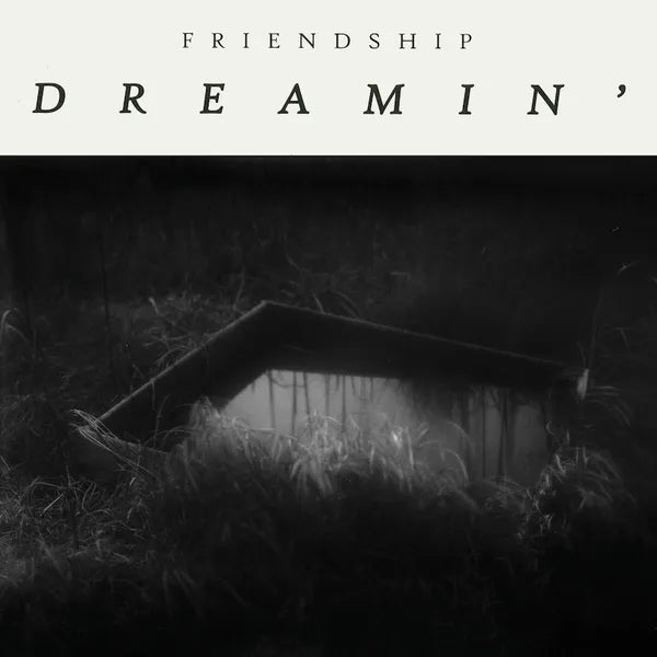 Friendship - Dreamin' [LP]