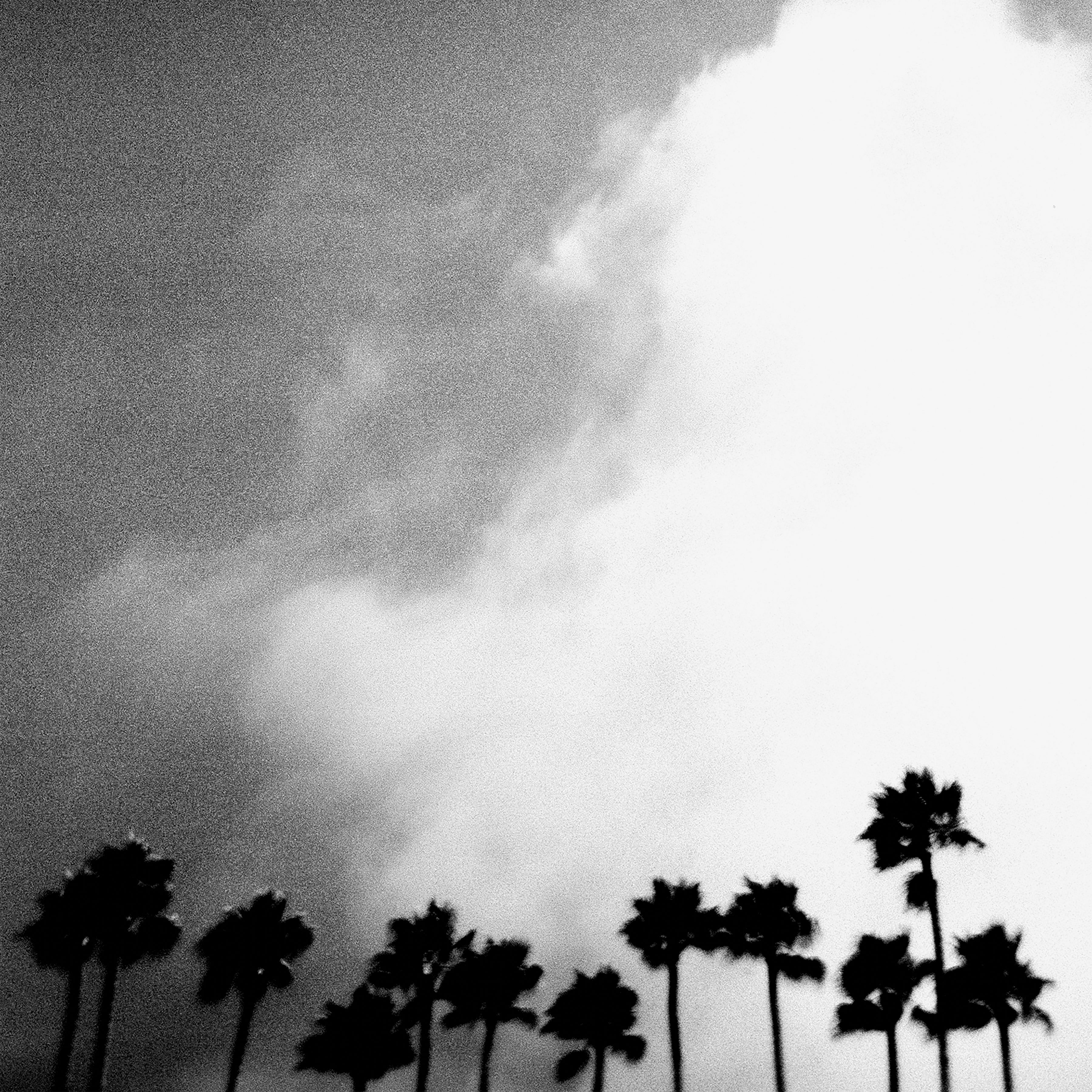 Richard Rose - Radiation Breeze [LP]