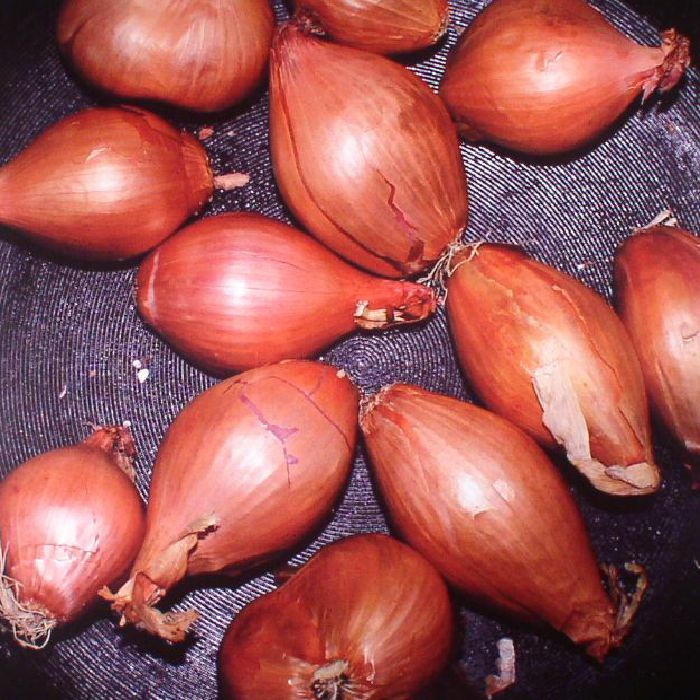 Ty Segall - Fried Shallots [LP]