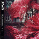 Foals - Everything Saved Will Be Lost (Part 2) [LP]