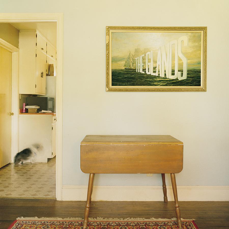 Glands, The - The Glands [2xLP]