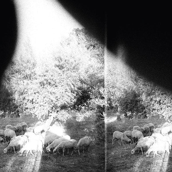 Godspeed You! Black Emperor - Asunder, Sweet And Other Distress [LP]