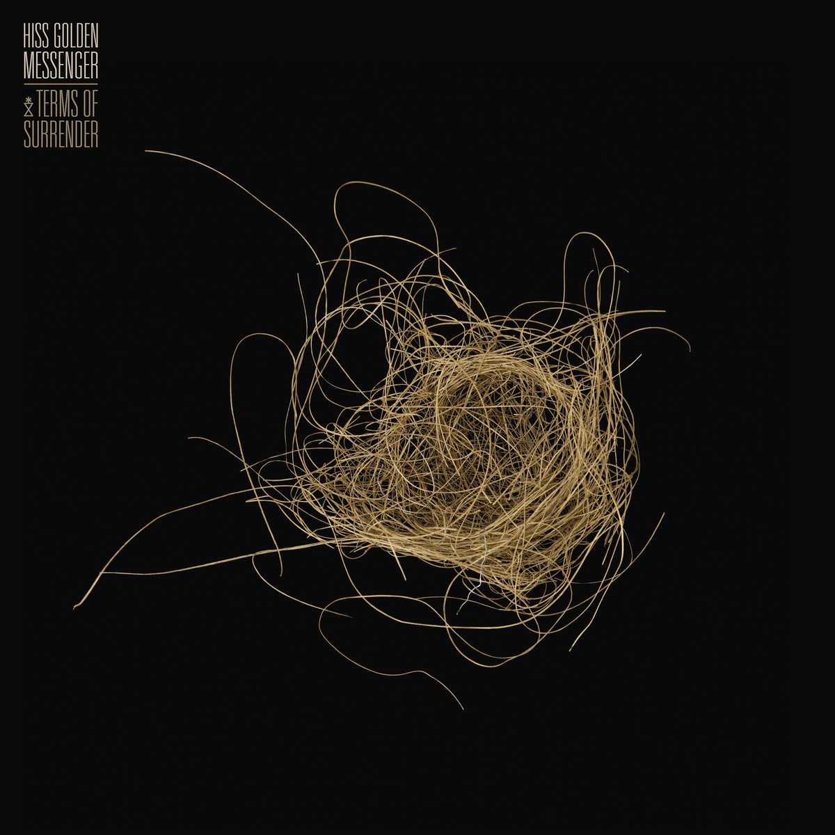 Hiss Golden Messenger - Terms Of Surrender [LP]