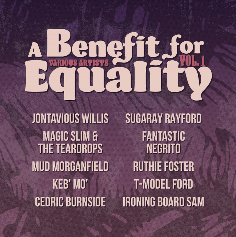 Various Artists - A Benefit For Equality Vol. 1 [LP]
