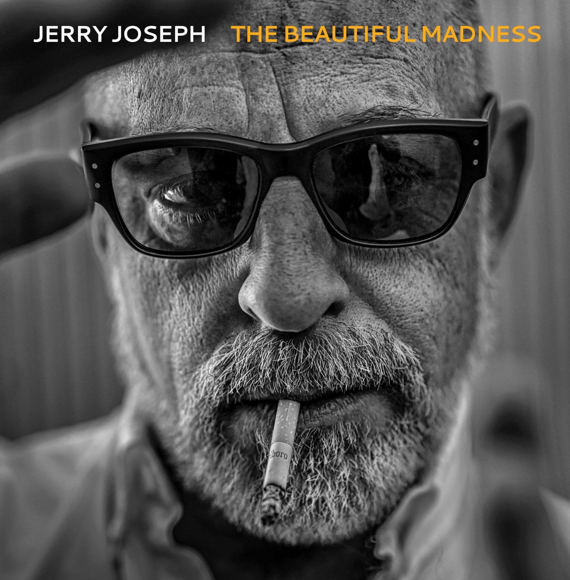 Jerry Joseph - The Beautiful Madness [2xLP]