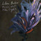 Julien Baker - Turn Out The Lights [LP]