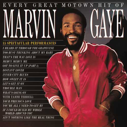 Marvin Gaye - Every Great Motown Hit Of... [LP]