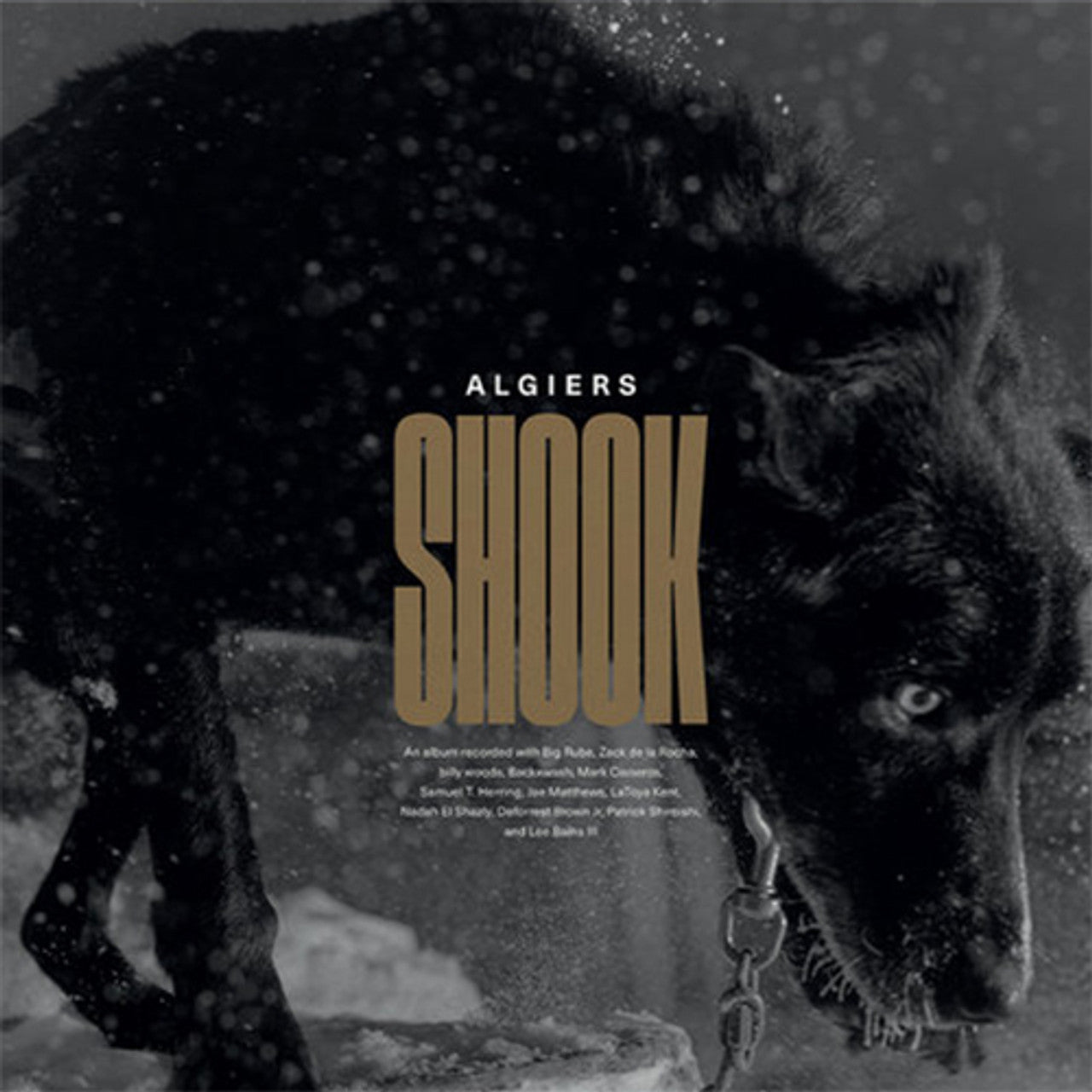 Algiers - Shook [2xLP]