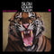 Dan Melchior - Slow Down Tiger [LP]