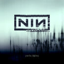 Nine Inch Nails - With Teeth [2xLP]