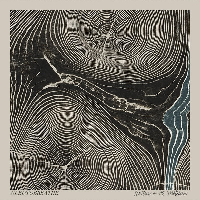 NEEDTOBREATHE - Rivers In The Wasteland [LP]