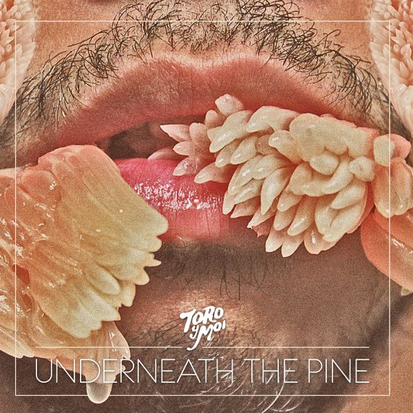 Toro Y Moi - Underneath The Pine [LP]