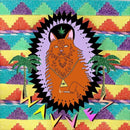 Wavves - King Of The Beach [LP]
