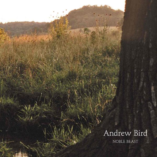 Andrew Bird - Noble Beast [2xLP]