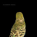 Andrew Bird - Armchair Apocrypha [LP]