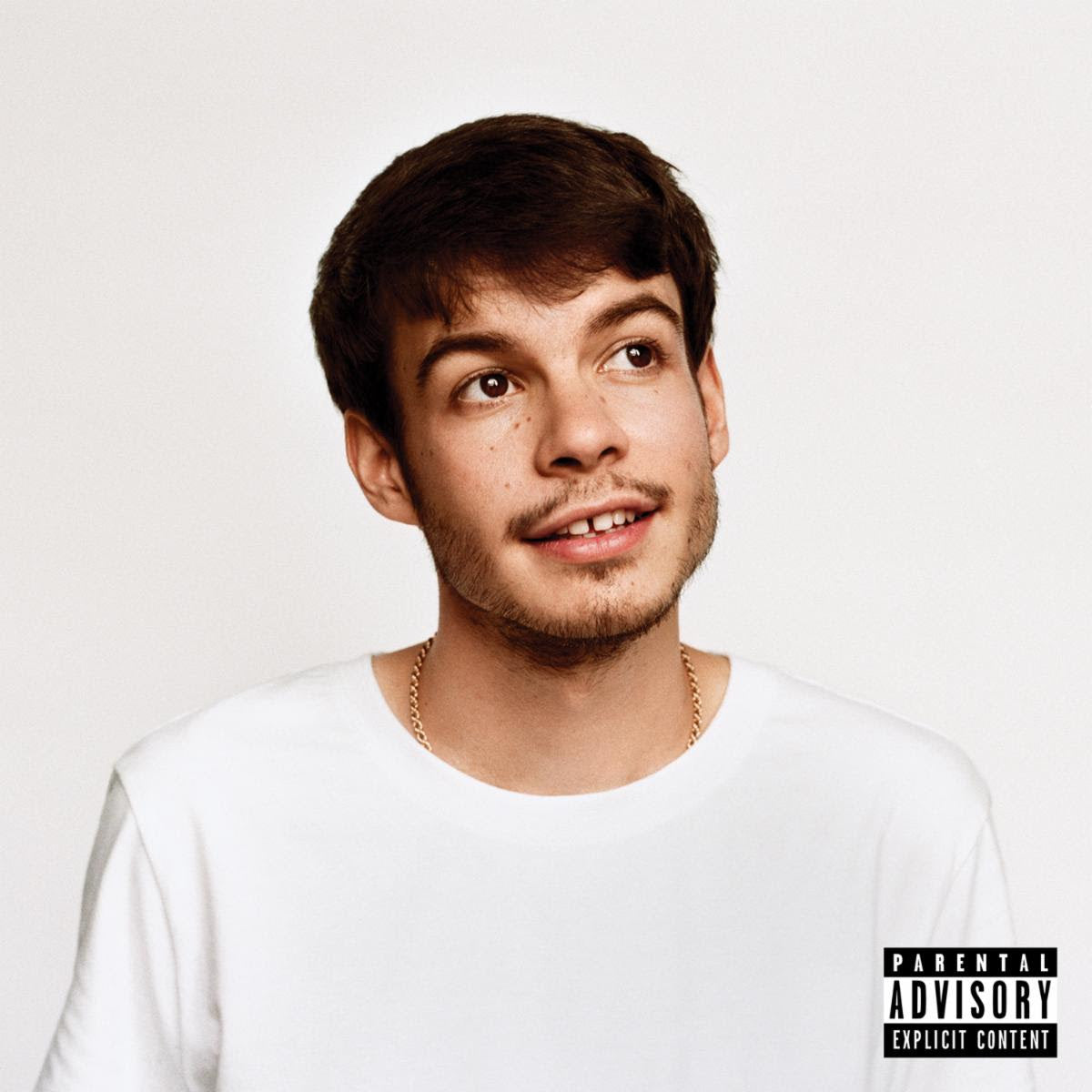Rex Orange County - Pony [LP]