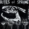 Rites Of Spring - Rites Of Spring [LP]
