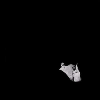 Bob Moses - Days Gone By [2xLP]