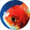 Vince Staples - Big Fish Theory [2xLP - Picture Disc]