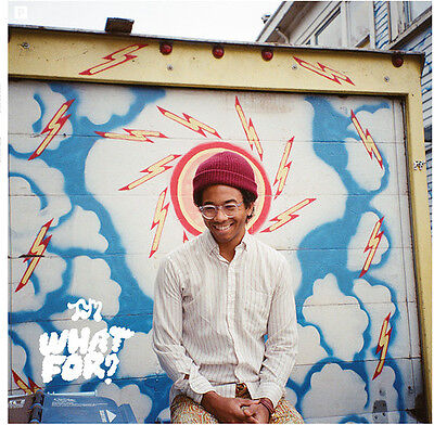 Toro Y Moi - What For? [LP]