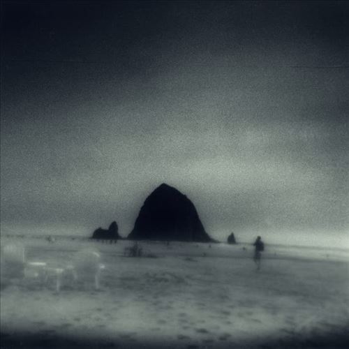 Drowse - Wane Into It [LP]