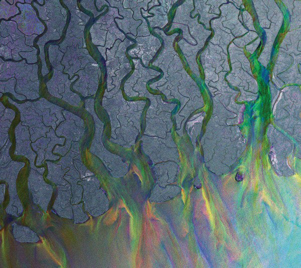 Alt-J - An Awesome Wave [LP]