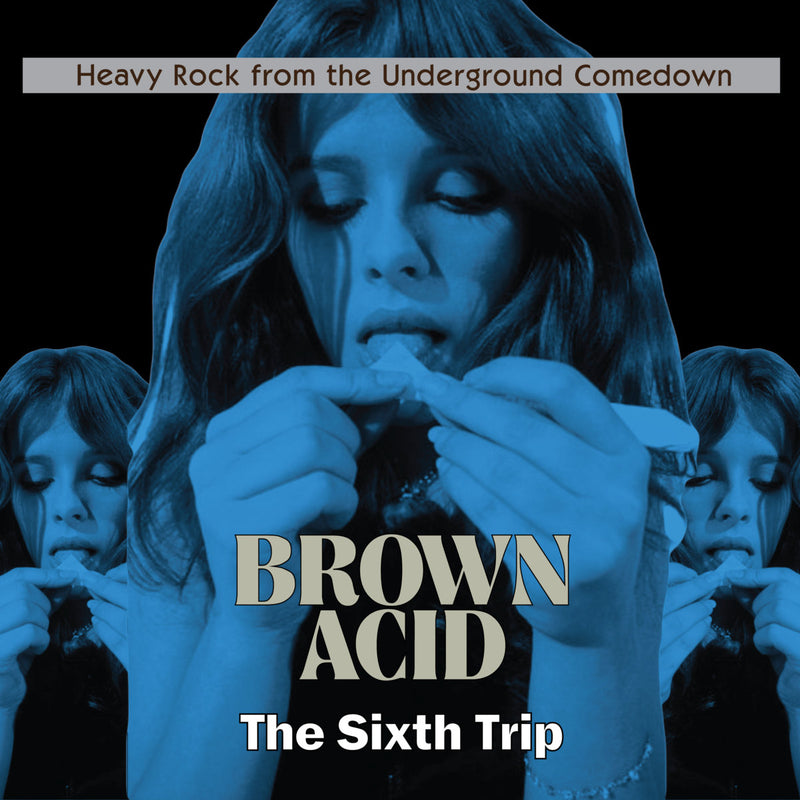 Various Artists - Brown Acid: The Sixth Trip [LP]