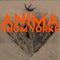Thom Yorke - Anima [2xLP - Orange]